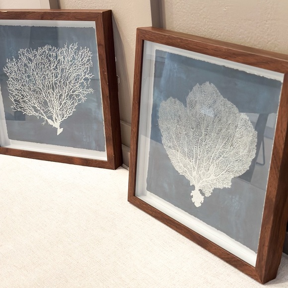 Marmont Hill Framed Coral Art Prints